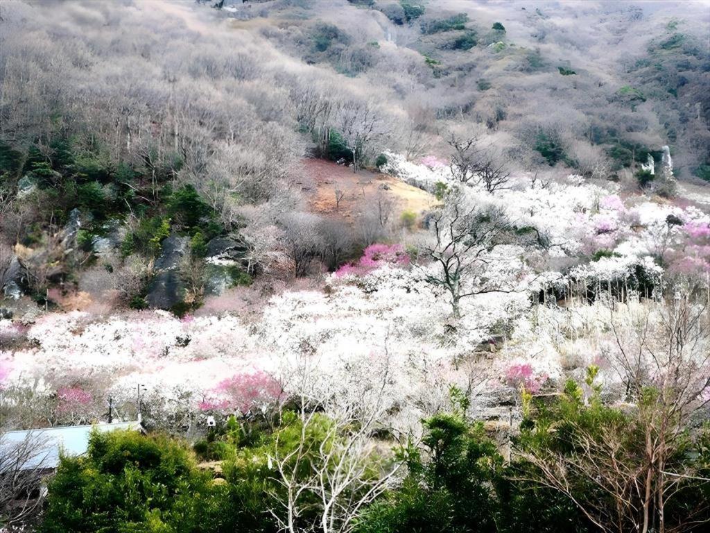 Corredor Yugawara Dog＆Resort อาตามิ ภายนอก รูปภาพ
